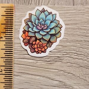 10/$10 Succulent Plant Sticker Gardening Cacti Grow